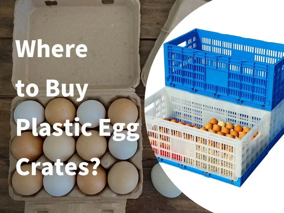 Where to buy plastic egg crates