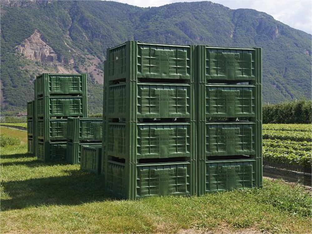 Bulk Containers applications_Agricultural Bulk Bins